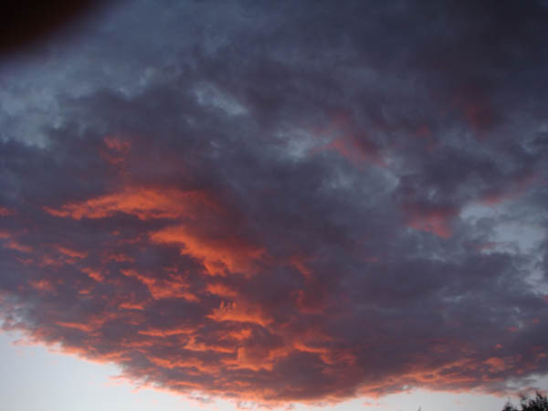 Sky as 2010 Harvest Began