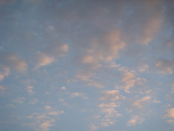 Sky at the end of 2010 Harvest