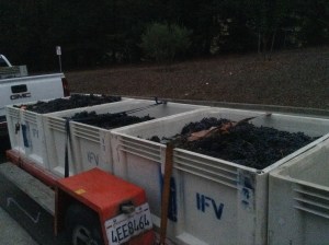 2014 Harvest